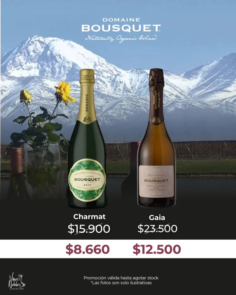 Bodega del mes ENERO. 26-07