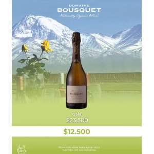 Domaine Bousquet Champenoise