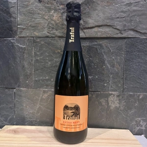 Champaña Traful Extra Brut