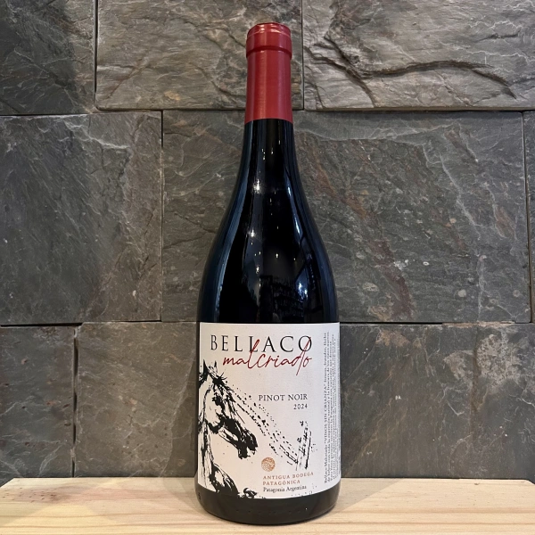 Bellaco Malcriado Pinot Noir – Vinos Nobles