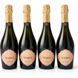 Estuche x 4 María Codorniu Raventos Brut Nature