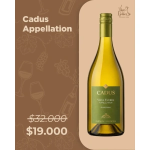 Cadus Apelattion Vista Flores Chardonnay
