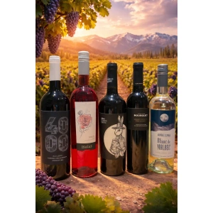 Combo Descubrimiento