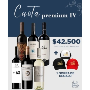 Cuota Premium IV