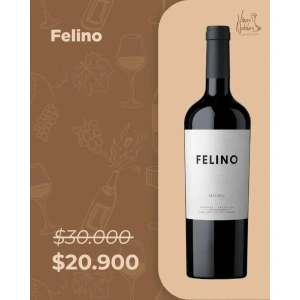 Felino