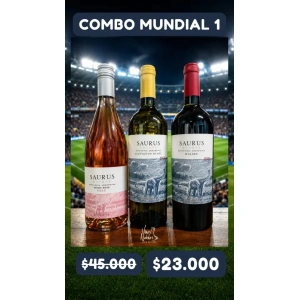 Combo Mundial 1