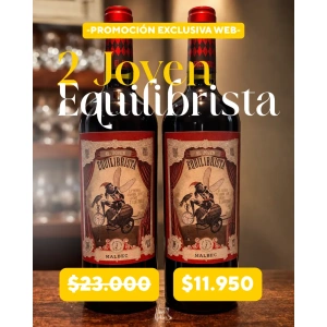 2 Joven Equilibrista