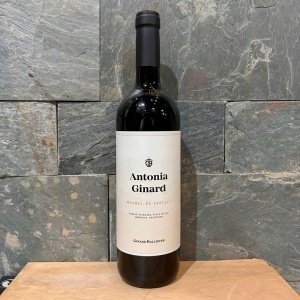 Antonia Ginard Malbec De Parcela