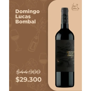 Domingo Lucas Bombal