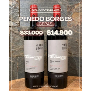 Penedo Borges Cepas X 2