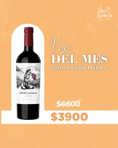 VINOS DEL MES ENERO.26-05